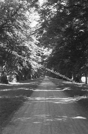 CASTLETOWN HOUSE  THE AVENUE